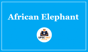 African Elephant UPSC | IUCN Status Critically Endangered