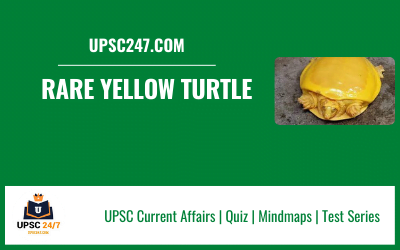 Rare Yellow Turtle UPSC | Species In news 