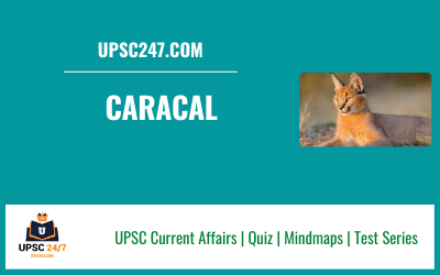 Caracal UPSC | IUCN Status
